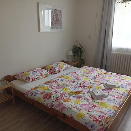 Ubytovani V Rodinnem Dome Ostopovice Zewnętrze zdjęcie